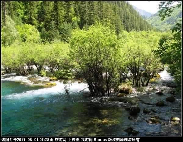 盆景滩1.jpg