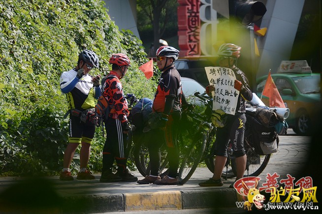 驴友网.jpg