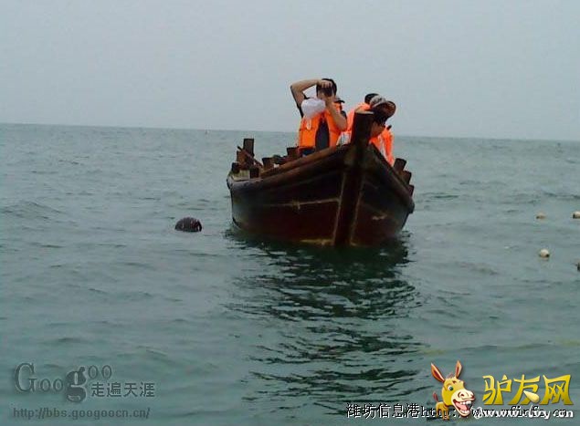 2海水浴场013551633478599022s.jpg